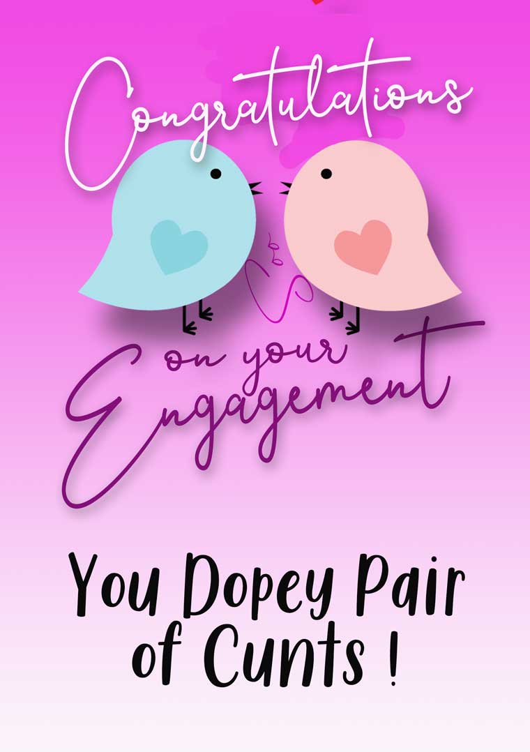 Engagment Dopey Pair