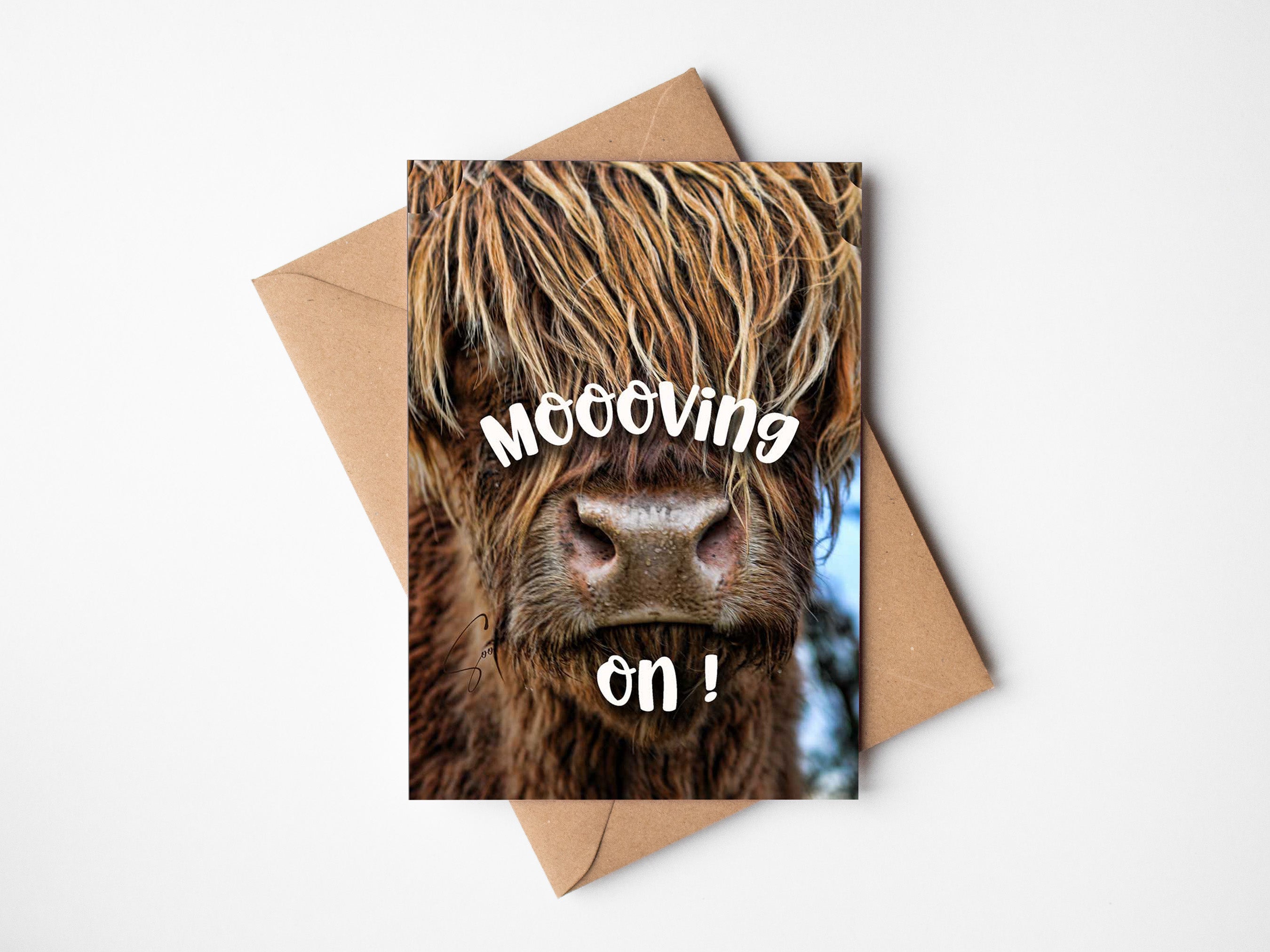 Cow Mooving On.